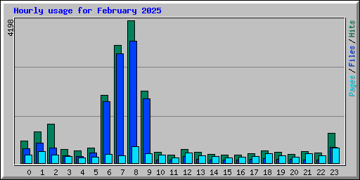 Hourly usage for February 2025