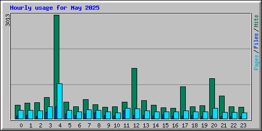 Hourly usage for May 2025