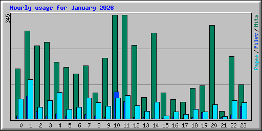 Hourly usage for January 2026